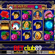 Interface Premium betclub89